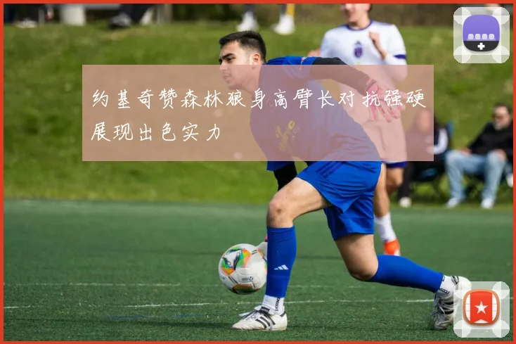 约基奇赞森林狼身高臂长对抗强硬展现出色实力